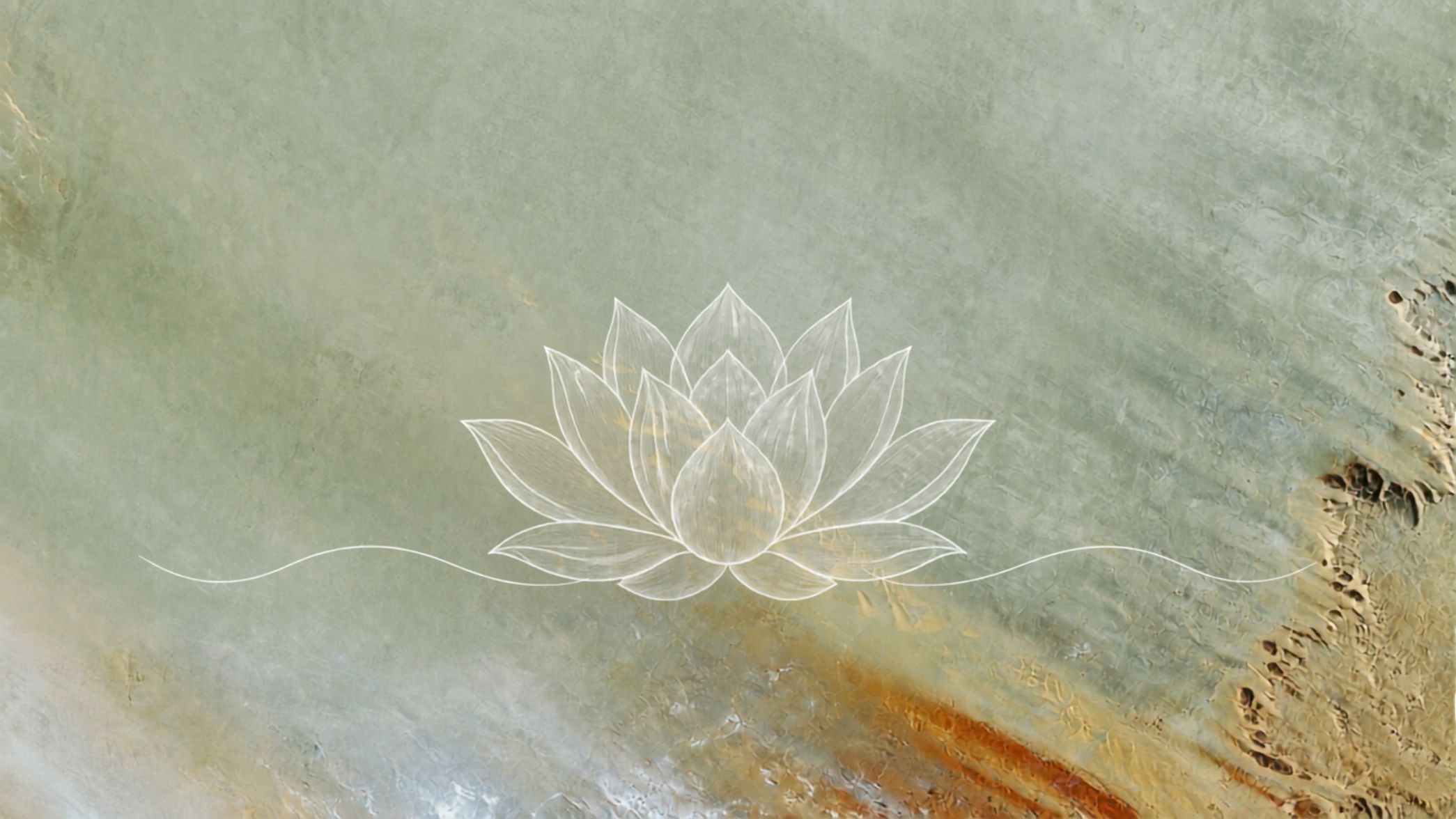 Illustration Lotus