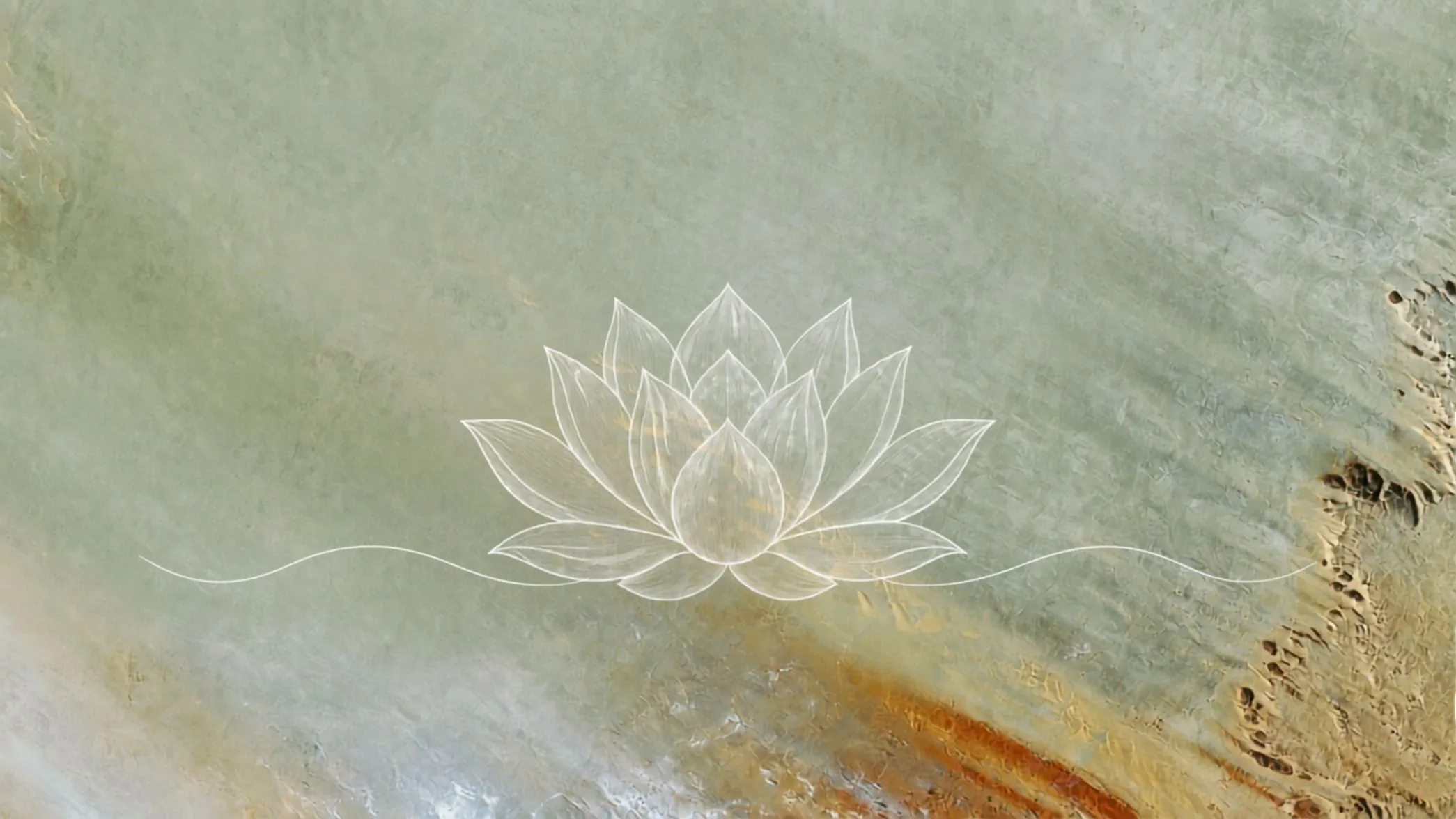 Illustration Lotus